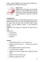 Referāts 'Atkarība no smēķēšanas', 12.