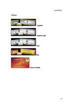 Referāts 'Atkarība no smēķēšanas', 40.