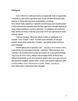 Referāts 'Organizāciju tipi sabiedrībā', 8.