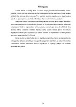 Referāts 'Saskarsmes tiesības ar bērnu tiesiskais regulējums un nodrošināšana', 34.