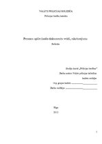 Referāts 'Personu apliecinošu dokumentu veidi un to raksturojums', 1.