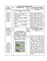 Konspekts 'Spēka izturības attīstīšana kāju muskulatūrai un dziļās muskulatūras nostiprināš', 2.