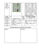 Konspekts 'Spēka izturības attīstīšana kāju muskulatūrai un dziļās muskulatūras nostiprināš', 4.