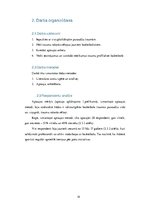 Referāts 'Raksturīgākās traumas basketbolā jauniešiem no 15 līdz 17 gadiem', 14.