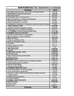 Referāts 'SIA "Narvesen Baltija" finanšu analīze 2015.-2017.gadam', 38.