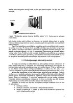 Referāts 'Apgaismojuma un attāluma no lietotāja sejas līdz tālrunim ietekme uz sejas atpaz', 8.