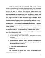 Prakses atskaite 'Personāla vadības izvērtējums Rīgas pašvaldības policijā', 17.