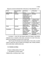 Prakses atskaite 'Personāla vadības izvērtējums Rīgas pašvaldības policijā', 20.