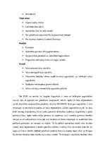 Konspekts 'Birokrātiskais modelis', 4.