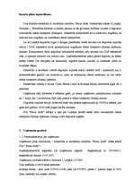 Biznesa plāns 'SIA "Brauc droši"', 3.