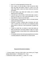 Referāts 'Saistību tiesības. Nomnieka un īrnieka pienākumi', 11.