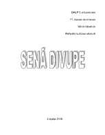 Referāts 'Senā Divupe', 1.