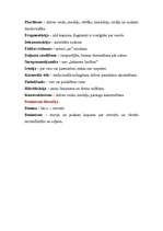 Konspekts 'Filosofijas konspekts', 13.