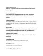 Konspekts 'Globalizācija Latvijā - reģionālie aspekti Eiropas kontekstā', 4.