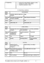 Referāts 'SIA "Moto Taxi"', 4.