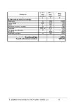 Referāts 'SIA "Moto Taxi"', 20.