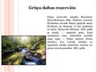 Prezentācija 'Dabas rezervāti un Latvijas dabas rezervāti', 5.