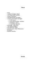 Referāts 'Norvēģija - viena no Ziemeļeiropas valstīm', 2.