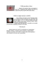 Konspekts 'Ķīmiskās reakcijas manā virtuvē', 4.