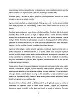 Referāts 'Agresīvas uzvedības psiholoģiskie cēloņi', 15.