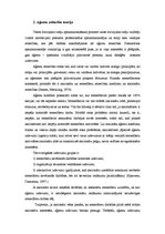 Referāts 'Ieinteresēto pušu teorijas, aģentu attiecību teorijas un dažādu pakalpojumu vadī', 6.