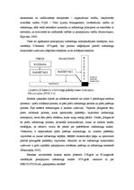 Referāts 'Ieinteresēto pušu teorijas, aģentu attiecību teorijas un dažādu pakalpojumu vadī', 11.