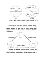 Referāts 'Ieinteresēto pušu teorijas, aģentu attiecību teorijas un dažādu pakalpojumu vadī', 14.