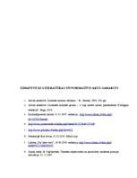 Referāts 'Sacīkstes princips krimināltiesībās', 11.