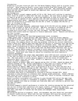 Eseja 'Rondo Company-Financial Plans', 1.