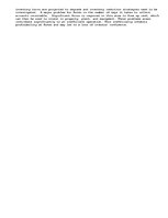 Eseja 'Rondo Company-Financial Plans', 2.