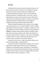 Referāts 'Apdrošināšanas riski', 3.