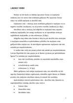 Referāts 'Apdrošināšanas riski', 4.