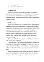 Referāts 'Apdrošināšanas riski', 5.