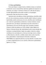 Referāts 'Apdrošināšanas riski', 15.