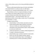 Referāts 'Apdrošināšanas riski', 19.