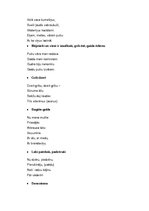 Referāts 'Rucavas novada folklora', 10.