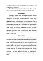 Referāts 'Rucavas novada folklora', 13.