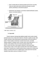 Referāts 'Karpālā kanāla sindroms', 6.