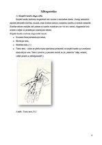 Referāts 'Karpālā kanāla sindroms', 8.