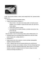 Referāts 'Karpālā kanāla sindroms', 13.