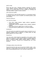 Konspekts 'Ekonometrika un statistikas metodes – datu analīze un prognozēšana ekonomikā.', 12.