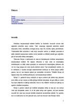 Referāts 'ES kā drošības kopiena', 2.