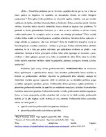 Eseja 'Tiesnešu profesionālā ētika', 3.