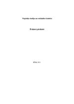 Prakses atskaite 'Vadības prakses pārskats autoservisā', 1.