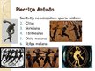 Prezentācija 'Audzināšana Senajā Grieķijā', 5.