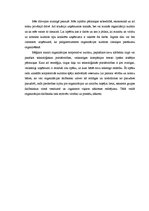 Referāts 'Organizācijas kultūra', 4.