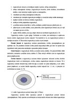 Referāts 'Organizācijas kultūra', 7.