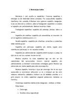 Referāts 'Motivācijas būtība un pielietojums praksē', 4.