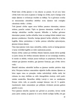 Referāts 'Ģimenes vērtības Latvijā', 29.