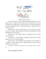 Referāts 'Vakcinācija', 3.